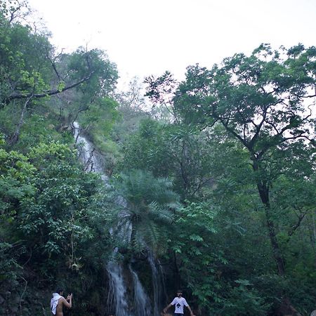 Perfect Stayz Premium Forest Valley Near Waterfall Rishīkesh المظهر الخارجي الصورة