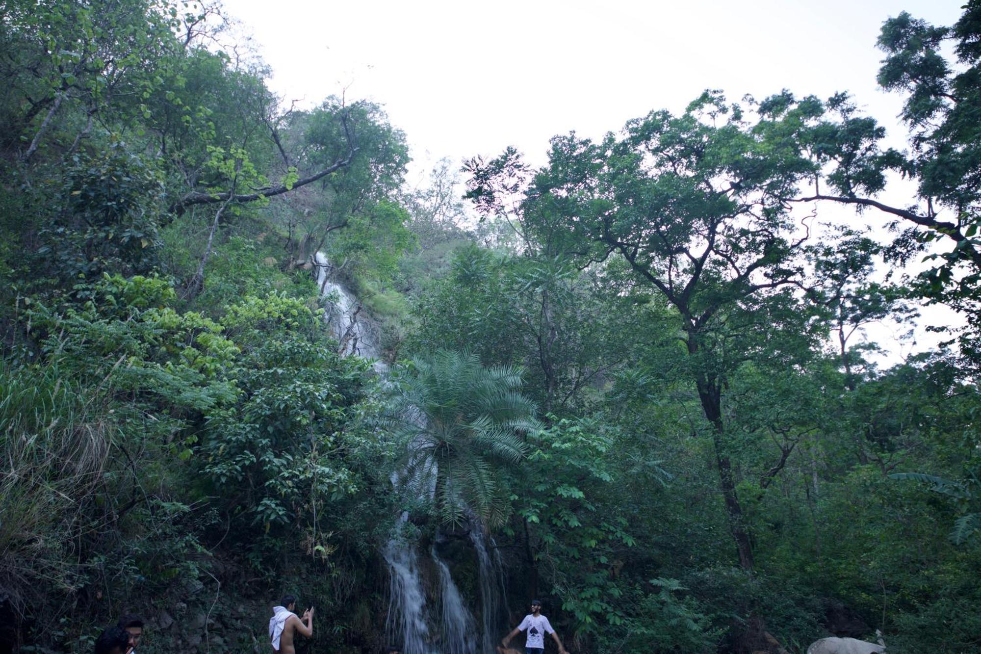 Perfect Stayz Premium Forest Valley Near Waterfall Rishīkesh المظهر الخارجي الصورة